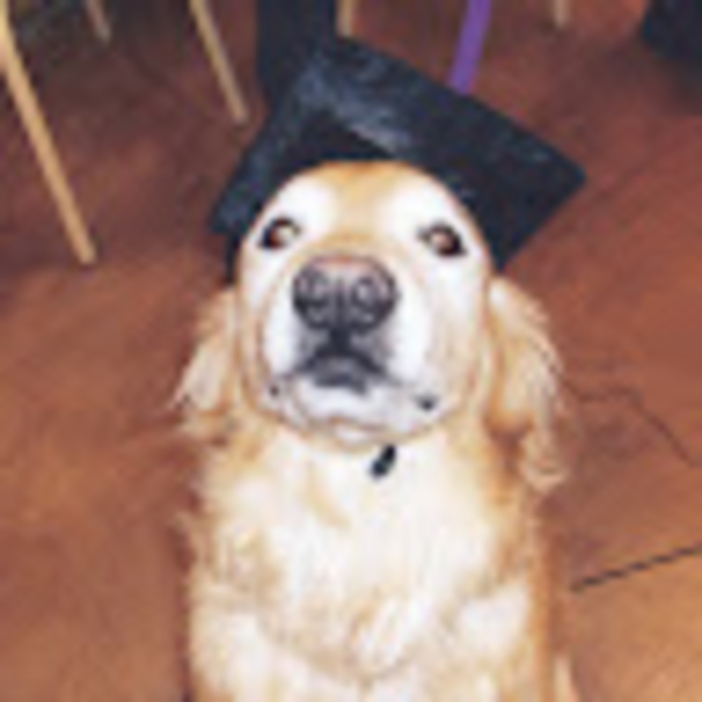 Meet your Posher, John